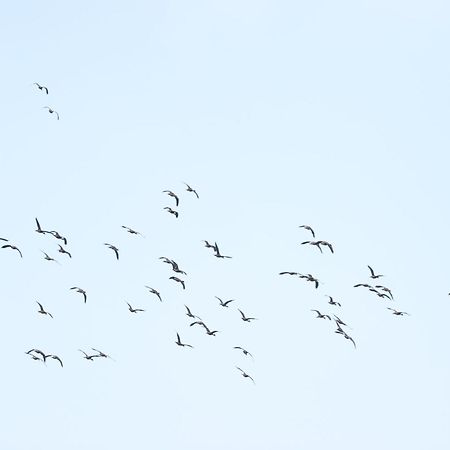 ホテル Three Little Birds タンガラ エクステリア 写真