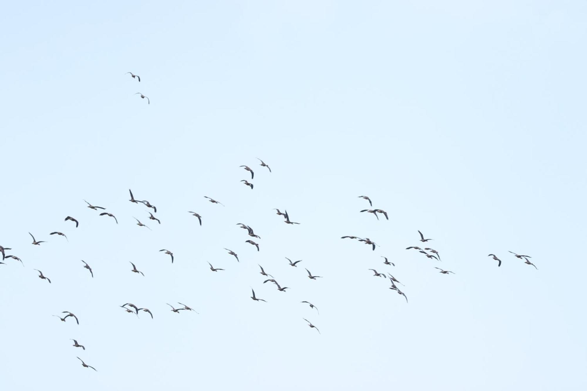 ホテル Three Little Birds タンガラ エクステリア 写真