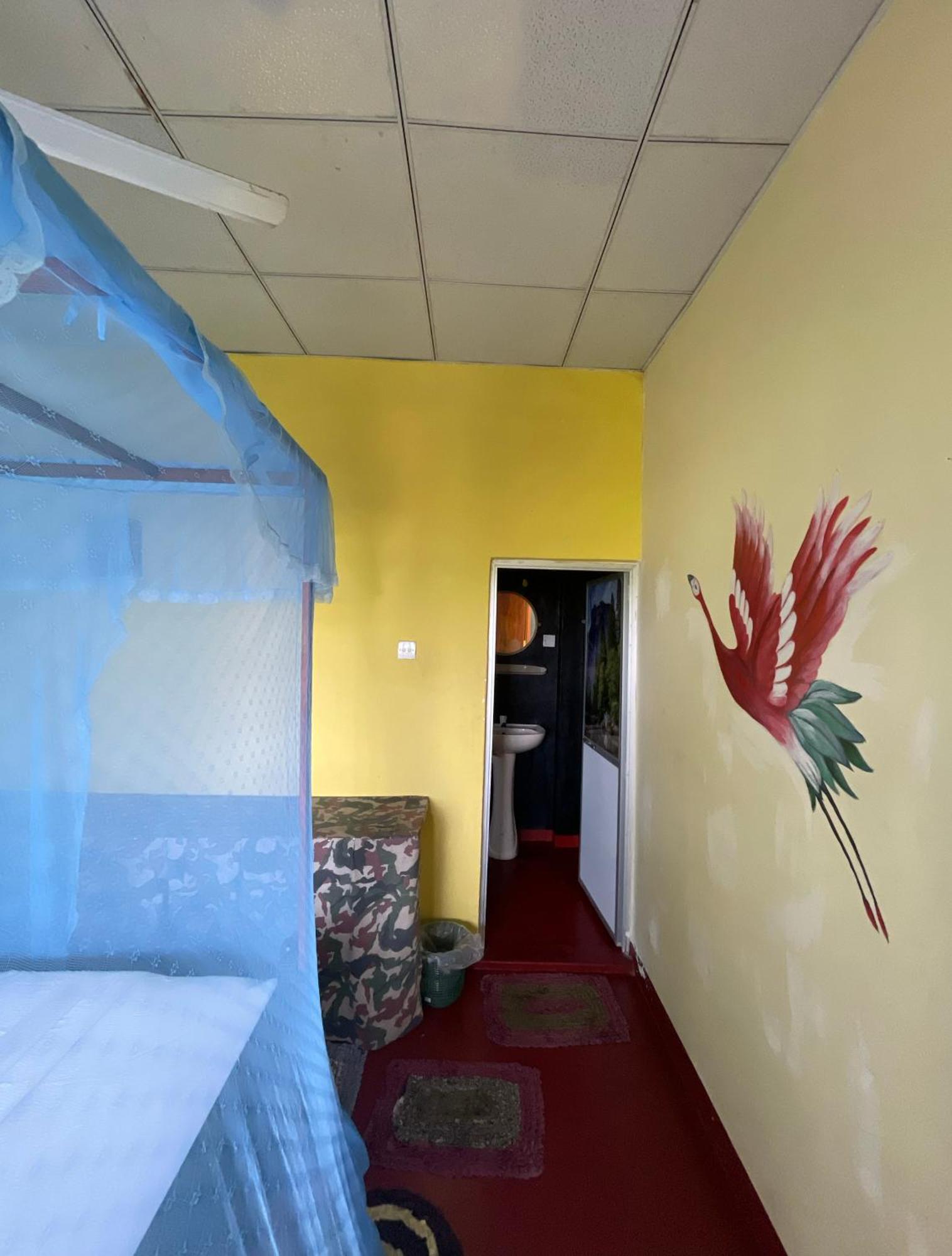 ホテル Three Little Birds タンガラ エクステリア 写真